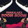 About SHAKALAKA BOOM BOOM Song